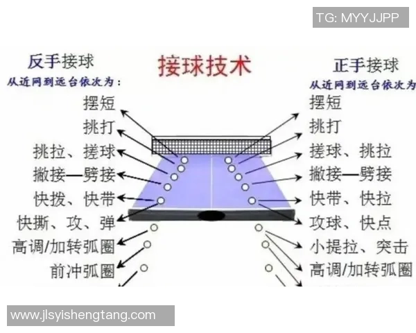 武汉乒乓球队转换打法的深度分析与战术解析 武汉乒乓球队转换打法的深度分析与战术解析