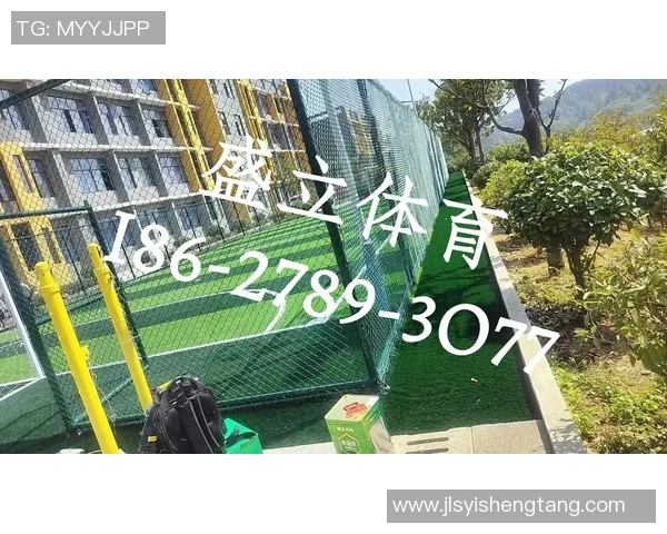 足球场草坪更换的重要性与最佳实践指南助力提升比赛质量与观众体验