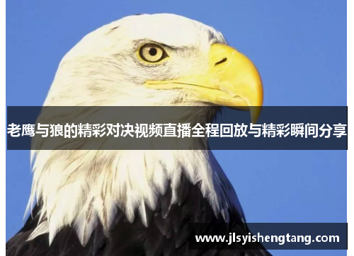 老鹰与狼的精彩对决视频直播全程回放与精彩瞬间分享